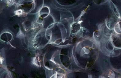 Gizarte-erantzukizuna