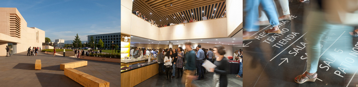 Bisitak, maiz egiten diren galderak