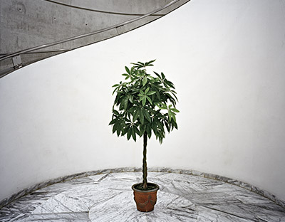 Izenbururik gabe. Diebenkorn, 2009. Iruña, Nafarroa. Lamba estanpak - Estanpa kromogenikoak / C estanpak