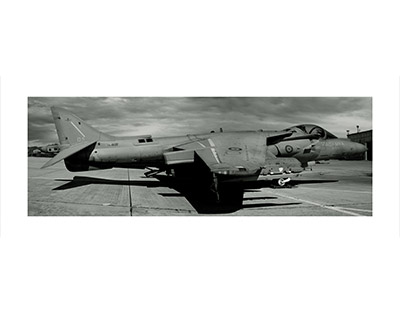 Argazkigintza apaingarria 52 zk., 2008-2009. Madril, Espainia.